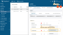 On the "LWM2M Model" tab select the target object and expand the "Attributes" list. Tick the "Attribute" checkbox on the desired attribute and input the custom name for the key. Then, save changes.