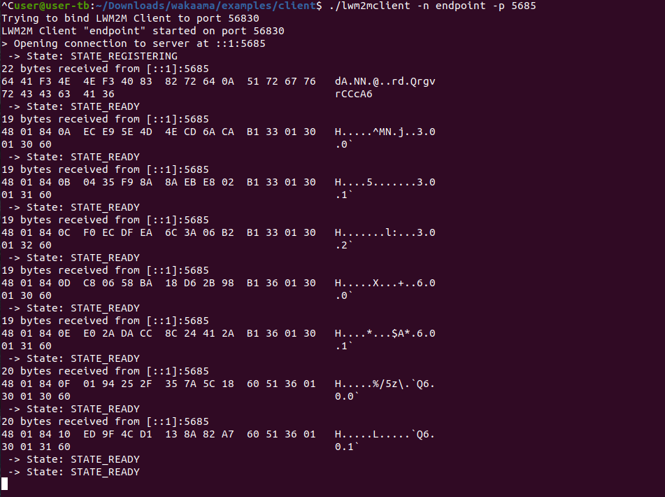 Terminal window with Wakaama client