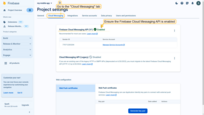 In the "Project settings" page, switch over to the "Cloud Messaging" tab. Here, ensure the Firebase Cloud Messaging API is enabled to use messaging features;