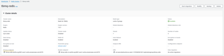 AWS ElastiCache Details