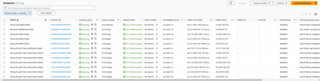 AWS EC2 instances deployed