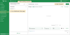 Navigate to the "WebSocket Client" page, select working connection, then click "Connect".