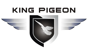KingPigeon Technology Co., Ltd. logo