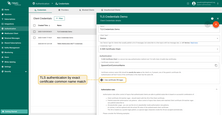 TLS authentication with "Use certificate CN regex" disabled to match certificate common name by exact match.