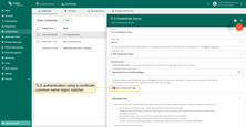 TLS authentication with "Use certificate CN regex" enabled to match certificate common name using a regex pattern.
