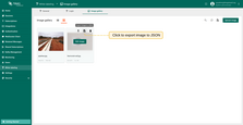 If you're using the grid view, hover your mouse pointer over the image you want to download and click the "Export image to JSON" icon. The image in JSON format will be saved to your PC.