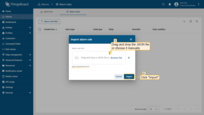 - In the import dialog, drag and drop the JSON file or choose it manually.<br>- Click <b>Import</b> to upload the configuration.