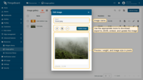 In this window, you can rename, download, export to JSON, embed, and update image.